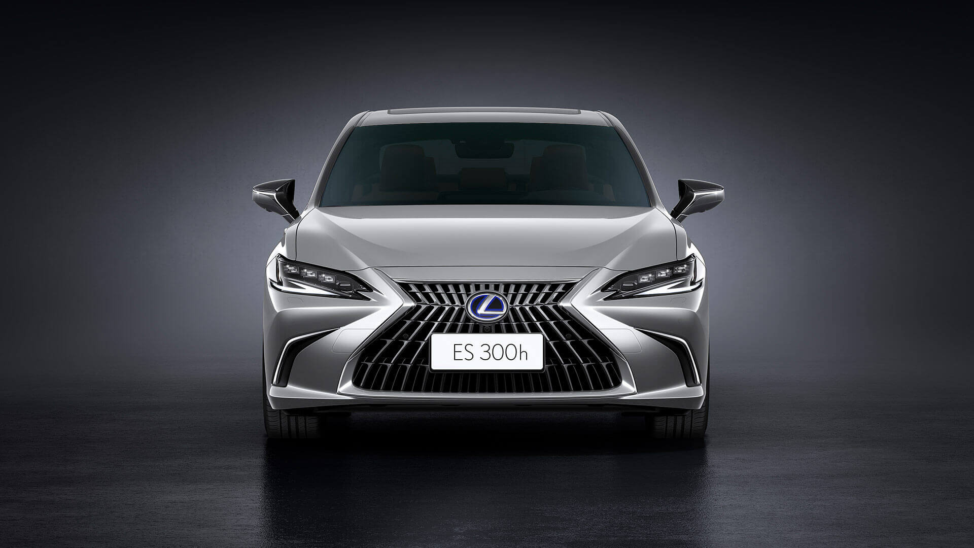NAUJASIS ES 300h