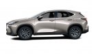 NX 350h