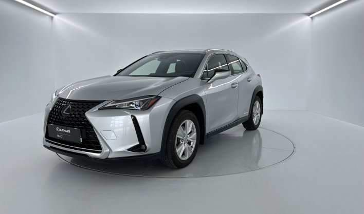 UX 250h