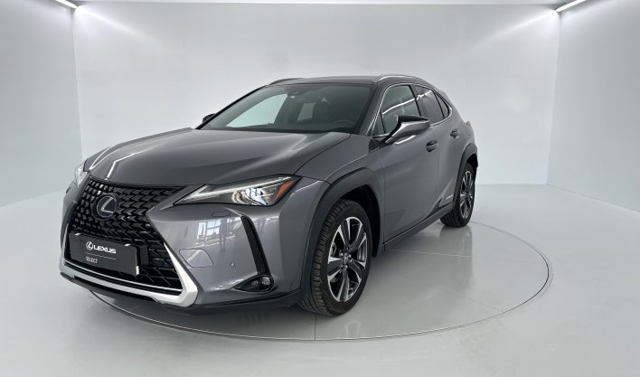 UX 250 h AWD