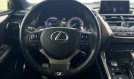 NX 300h