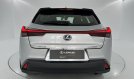 UX 250h