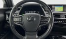UX 250h