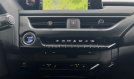 UX 250 h AWD