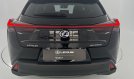 UX 250h AWD